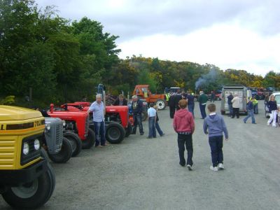 DSC03311.jpg