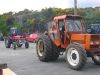 DSC03317.jpg