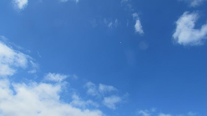 IMG_0717.jpg